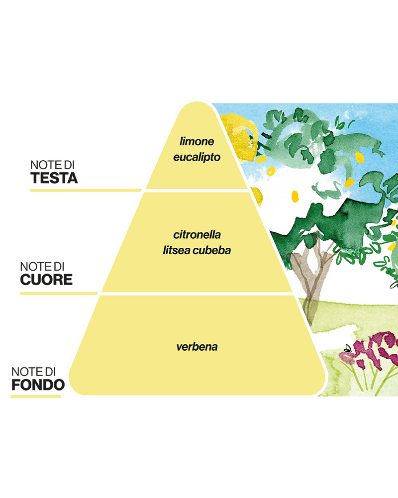 Paesaggi Olfattivi Diffusore con Bastoncini All'Agrumeto