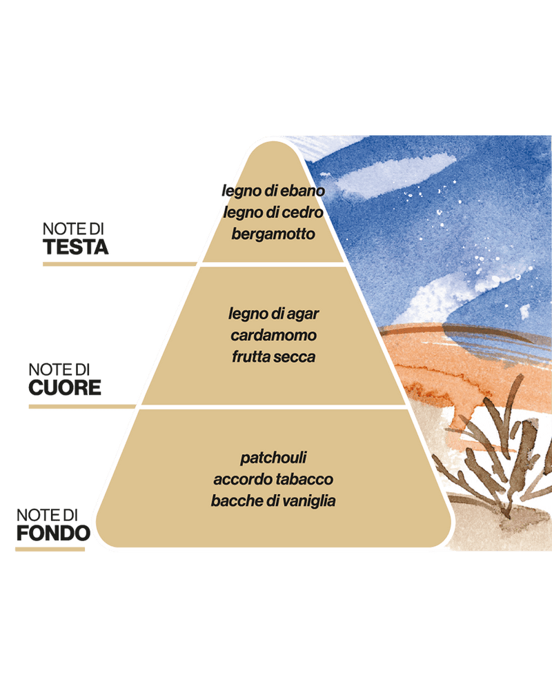 Paesaggi Olfattivi Diffusore con Bastoncini Notte nel Deserto