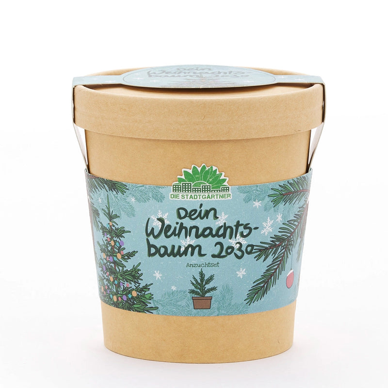 Kit di Coltivazione Albero di Natale