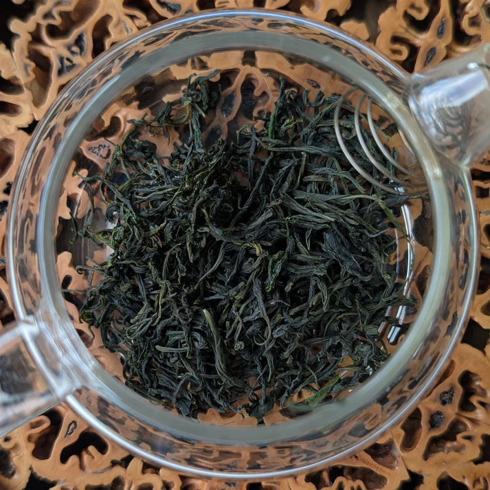 Tè Verde Xin Yang Mao Jian Selvatico / Cina