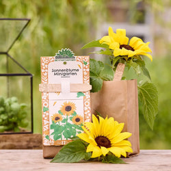 Kit di Coltivazione Girasole