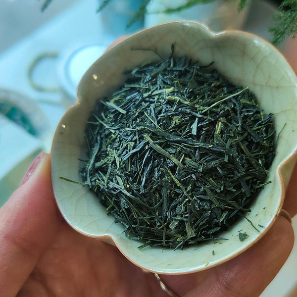 Tè verde Gyokuro Asahi BIO 2025 / Giappone