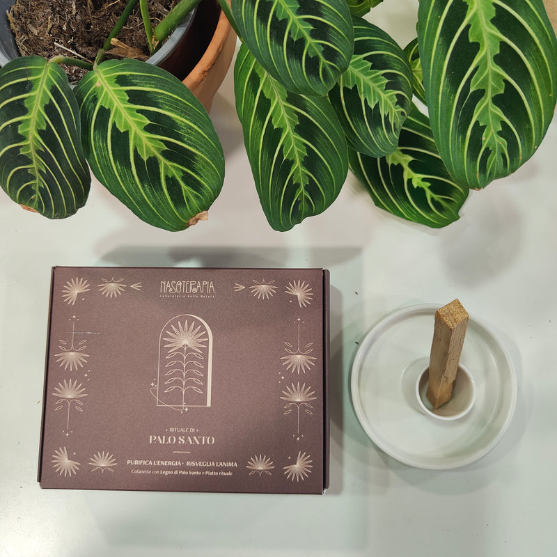 Nasoterapia Rituale di Palo Santo