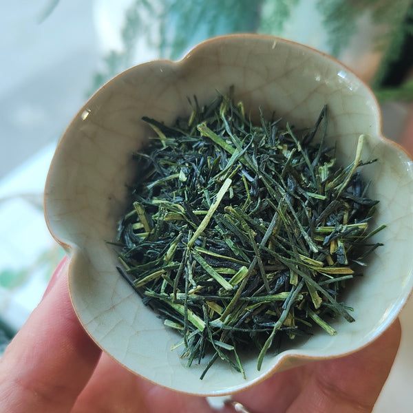 Tè verde Gyokuro Kuki Saemidori BIO 2025 / Giappone