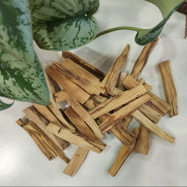 Palo Santo