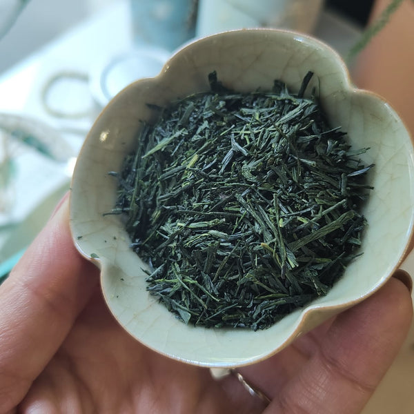 Tè verde Shincha Tsuyuhikari BIO 2025 / Giappone