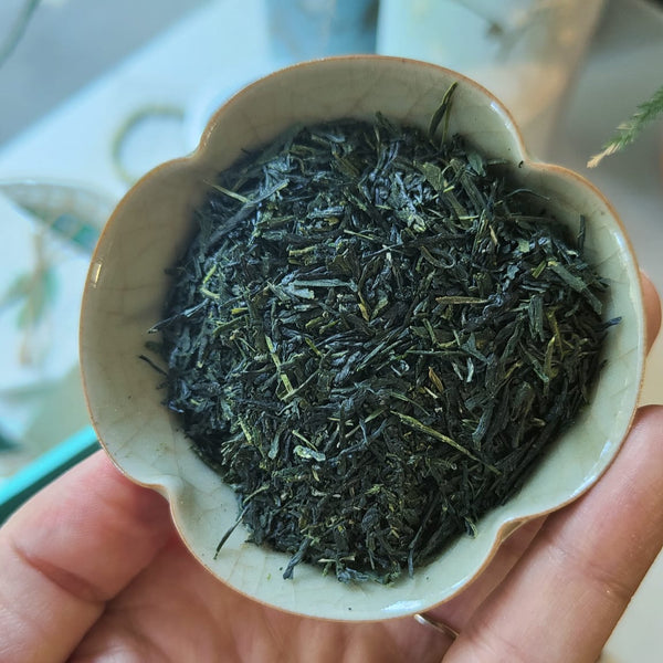 Tè verde Shincha Saemidori BIO 2025 / Giappone