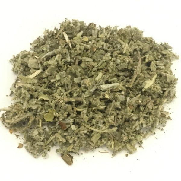 Salvia Officinale foglie