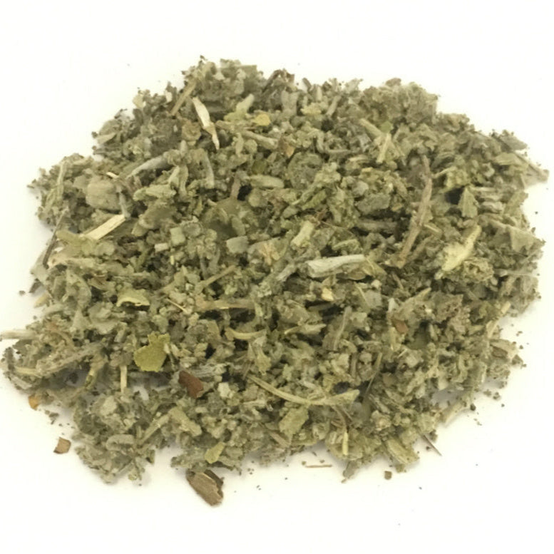 Salvia Officinale foglie