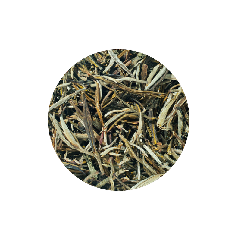 Tè giallo Huang Ya Yellow Tips Yunnan Rarity / Cina