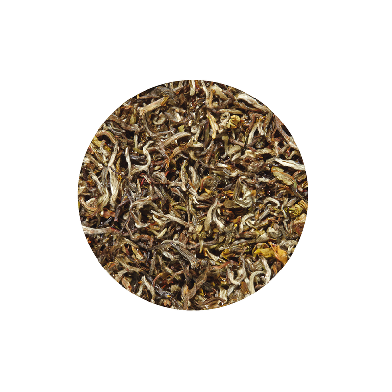 Tè bianco Shangri-La biologico / Nepal