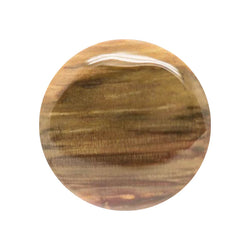 LE ORIGINI CABOCHON LEGNO FOSSILE