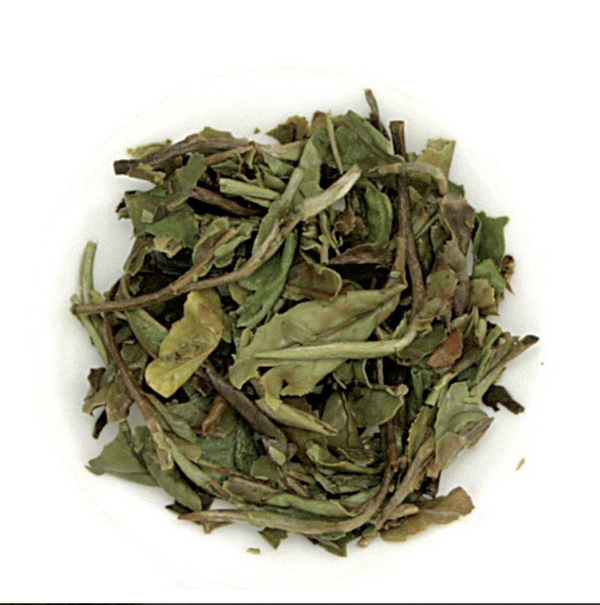 Tè bianco Bai Mu Dan / Cina