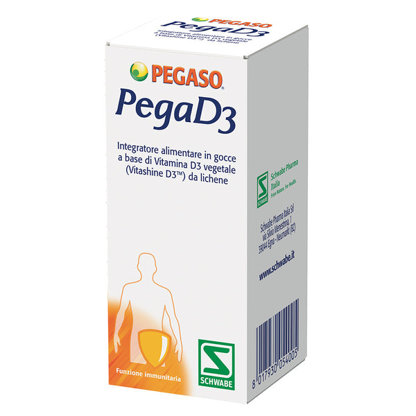 Pegaso PegaD3
