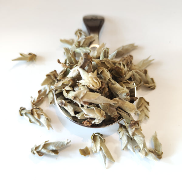 Tè bianco Silver Bud Ya Bao / Cina